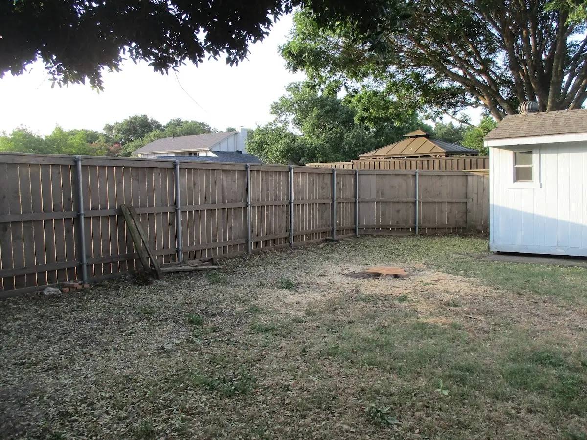 Cleared yard after professional tree removal in Daleville